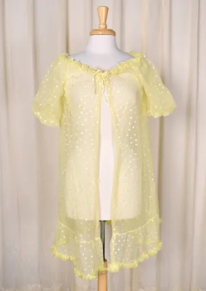 1960s Vintage Sheer Polka Dot Robe