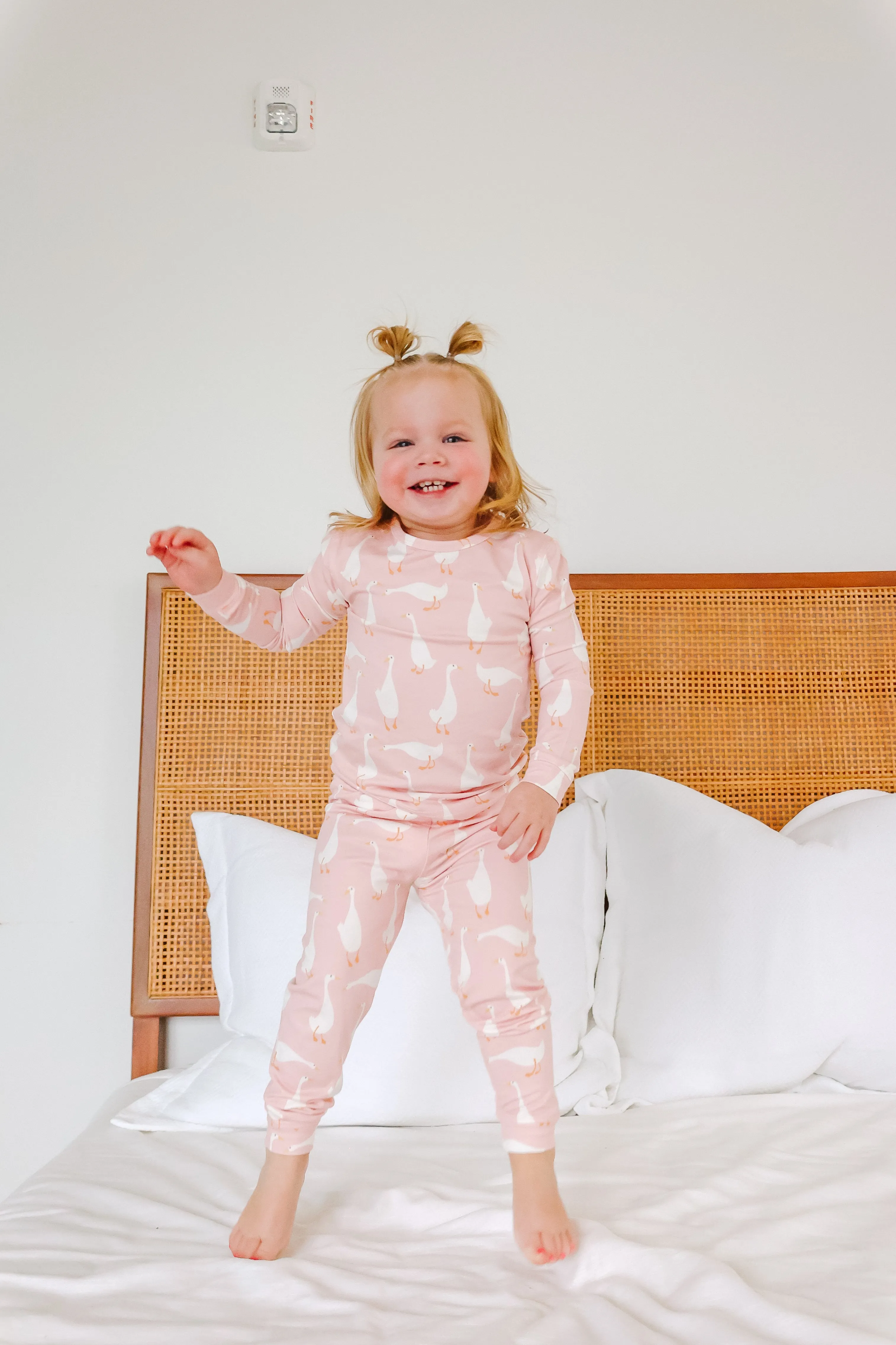 2pc Long Sleeve Pajama Set - Goosie