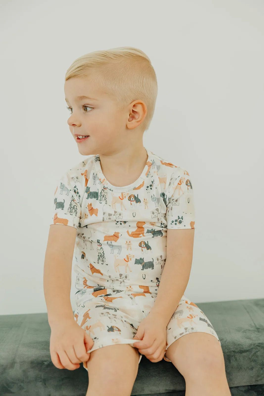 2pc Short Sleeve Pajama Set - Rufus