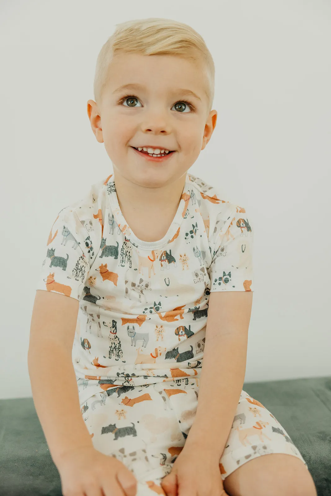2pc Short Sleeve Pajama Set - Rufus