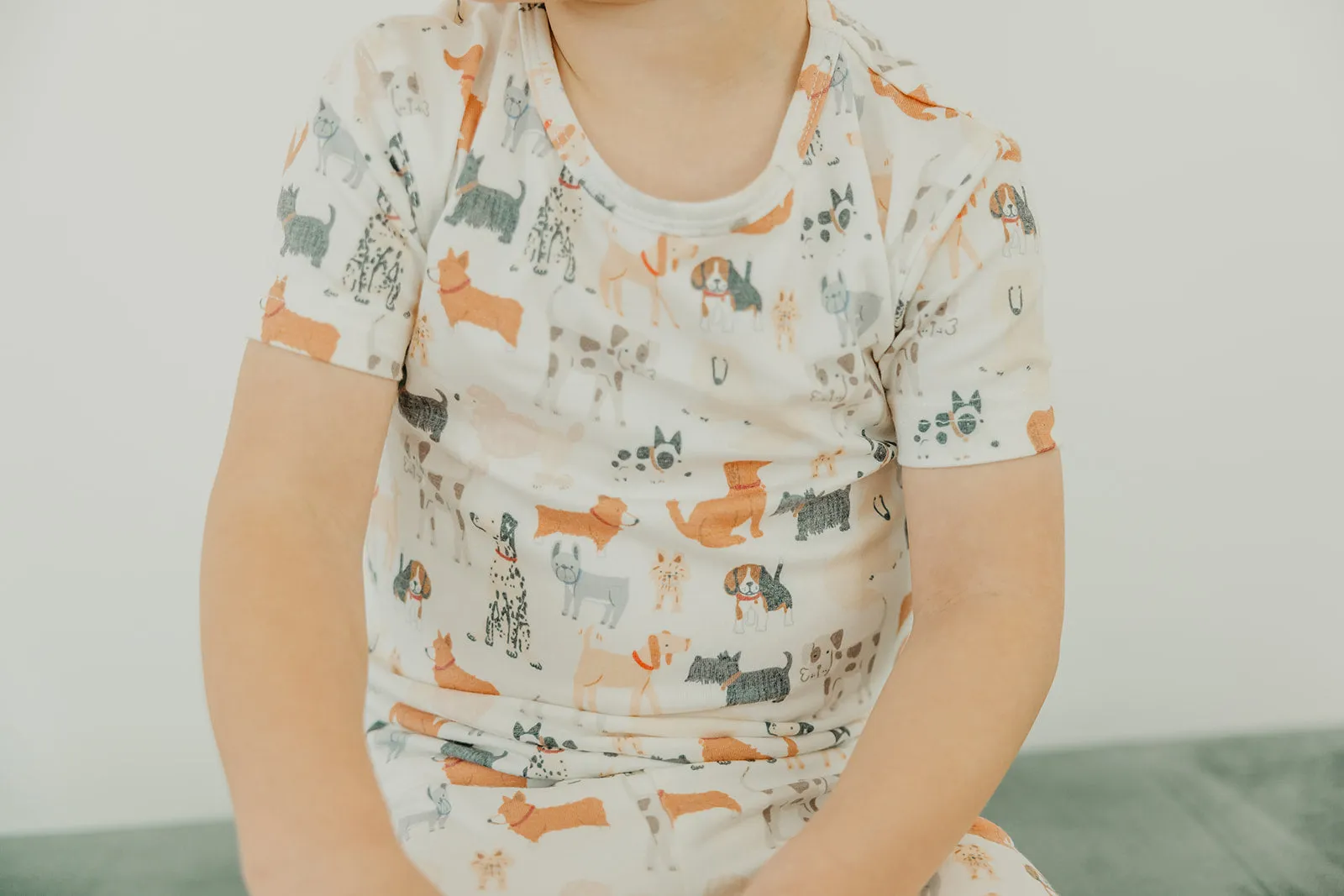 2pc Short Sleeve Pajama Set - Rufus