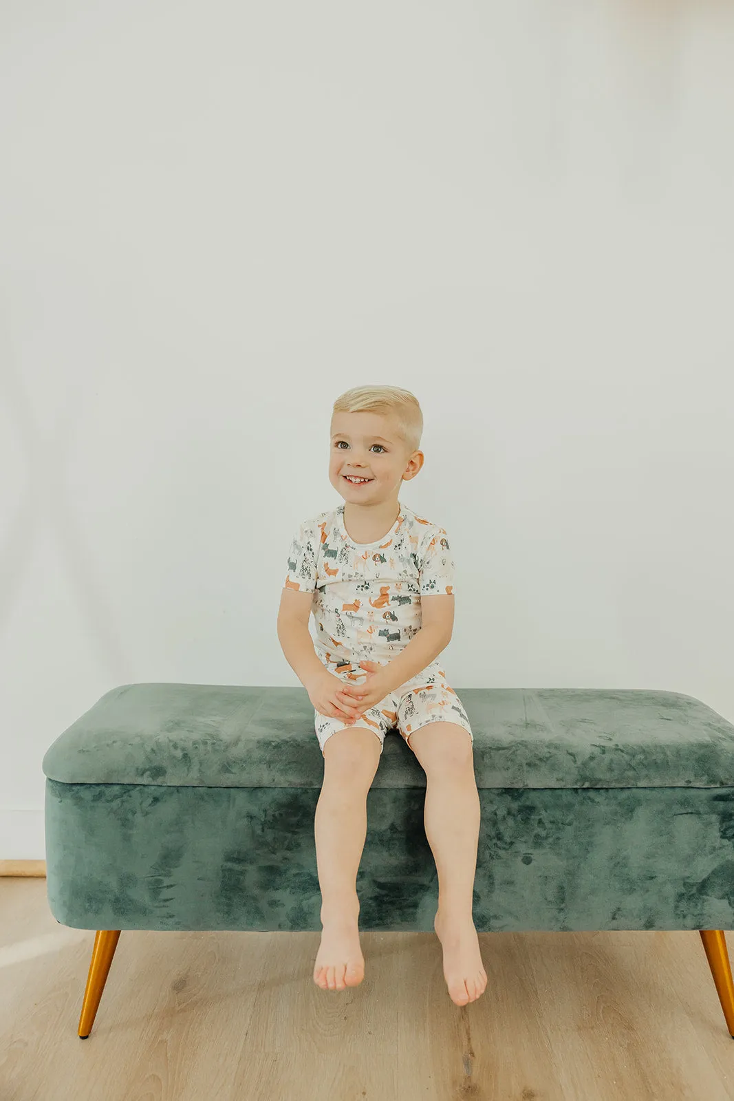 2pc Short Sleeve Pajama Set - Rufus