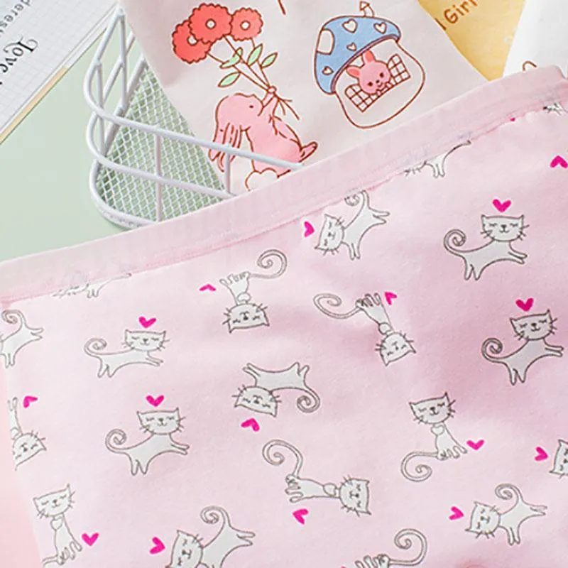 4-piece Panties for Girl