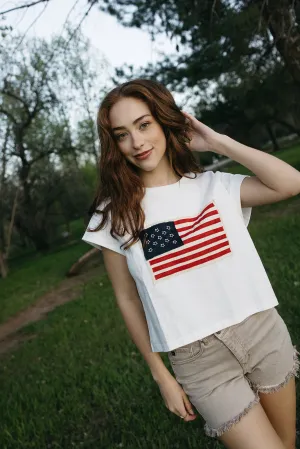 Modern Polo American Flag Tee