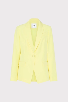 Winter Fashion Sleek Casual Avery Cady Blazer