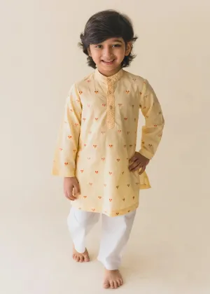 Beige Cotton Embroidered Kurta Boys (6 Months-14 Yrs)