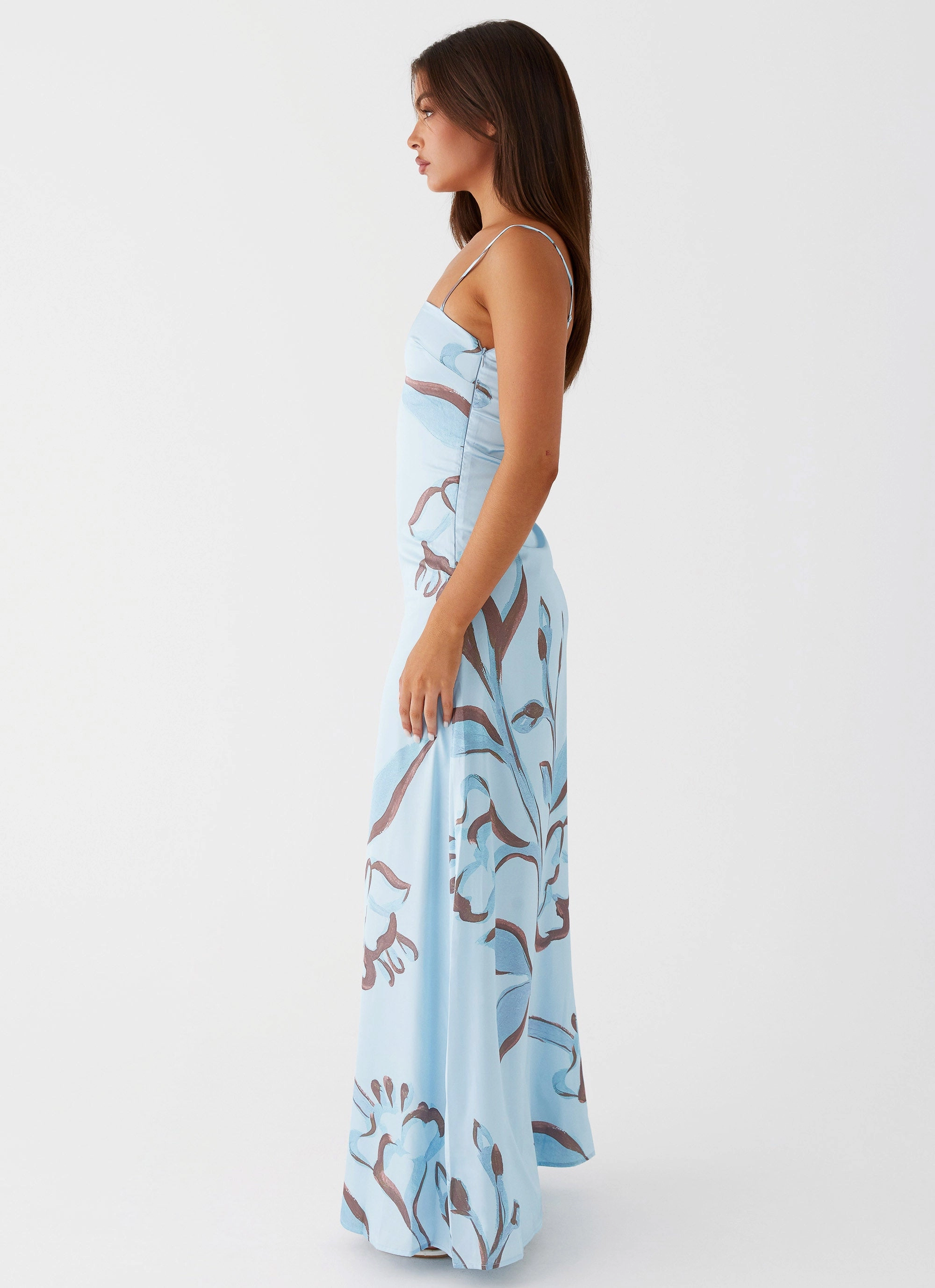 Comfortable Layer Aster Bloom Maxi Dress - Blue Floral