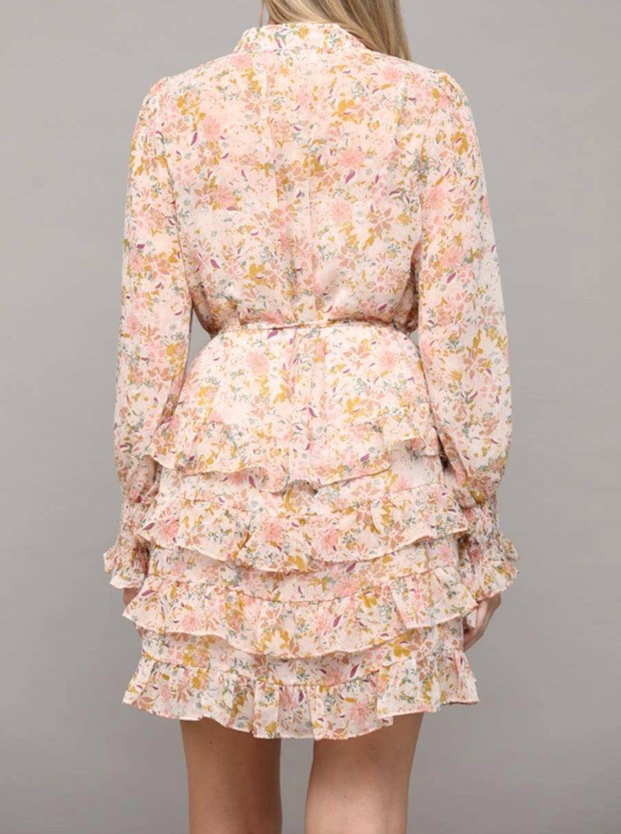 Evening Event Celine Mini Dress