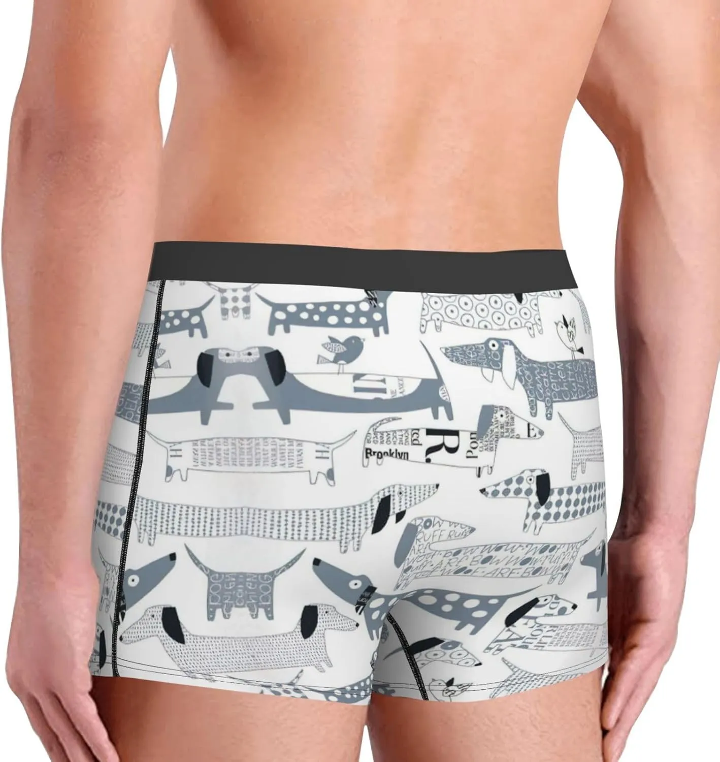 Cute Dachshund Dog Boxer Briefs, Moisture Wicking & Breathable,Underwear for Men