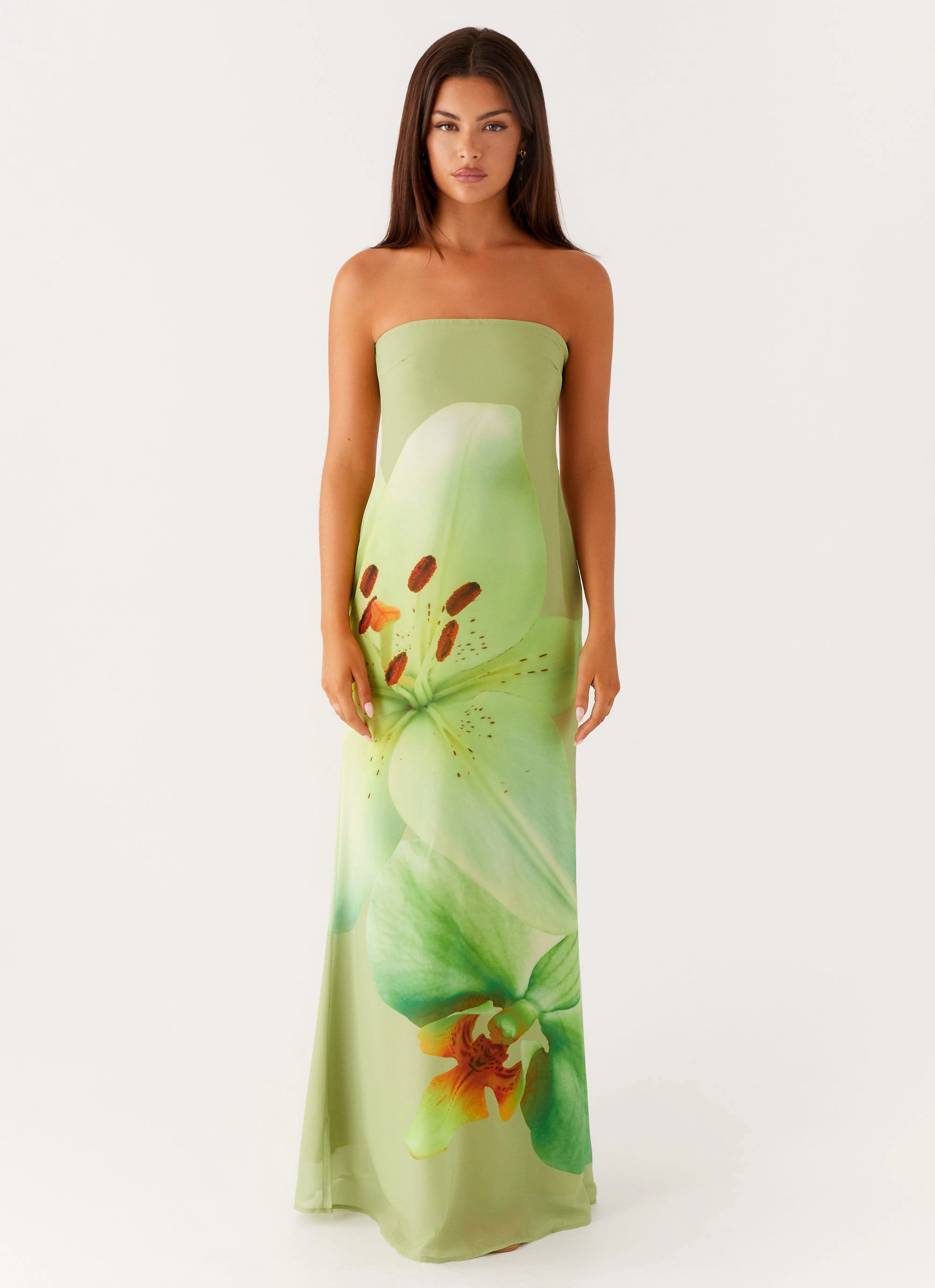 Shimmer-Finish Warranty-Included Darcy Maxi Dress - Green Floral