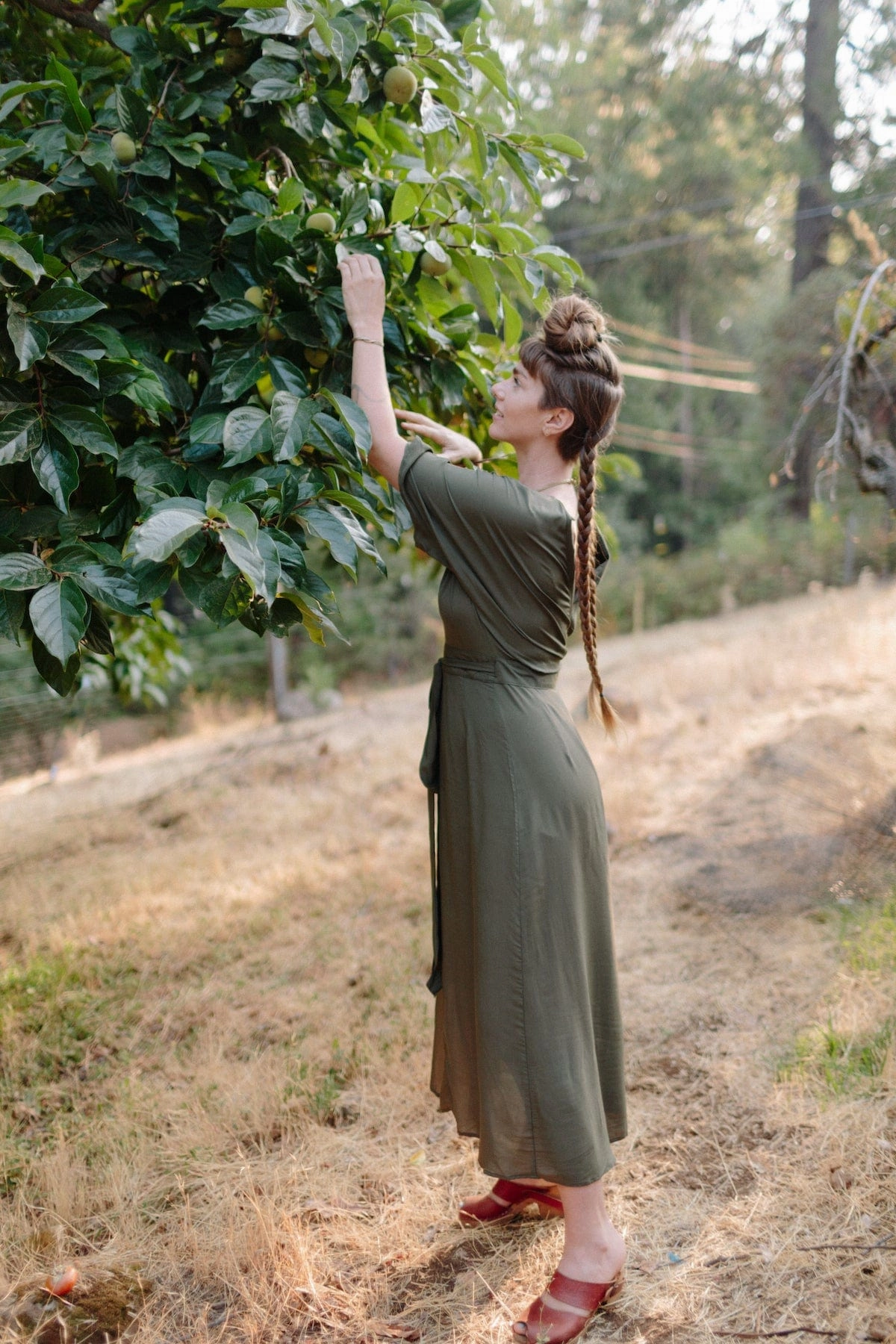 Soft cotton blend dress Perfect Layering Diana Dress in Olive Green Challis