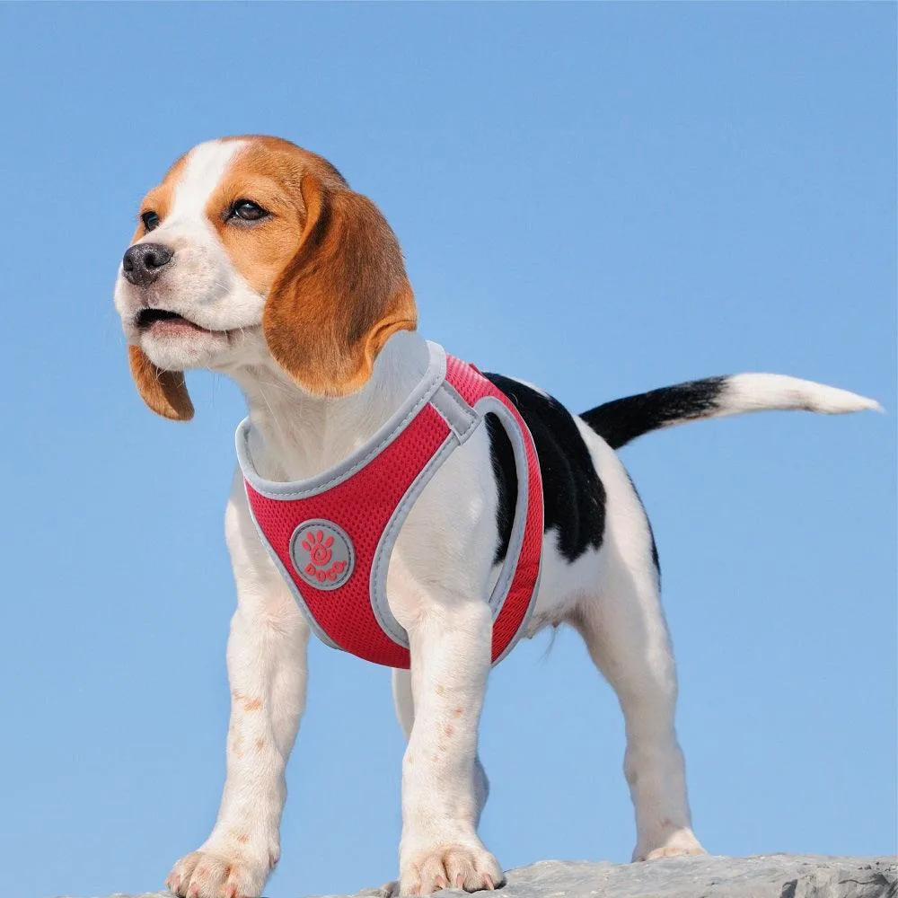 DOCO® Athletica QUICK FIT Dog Harness