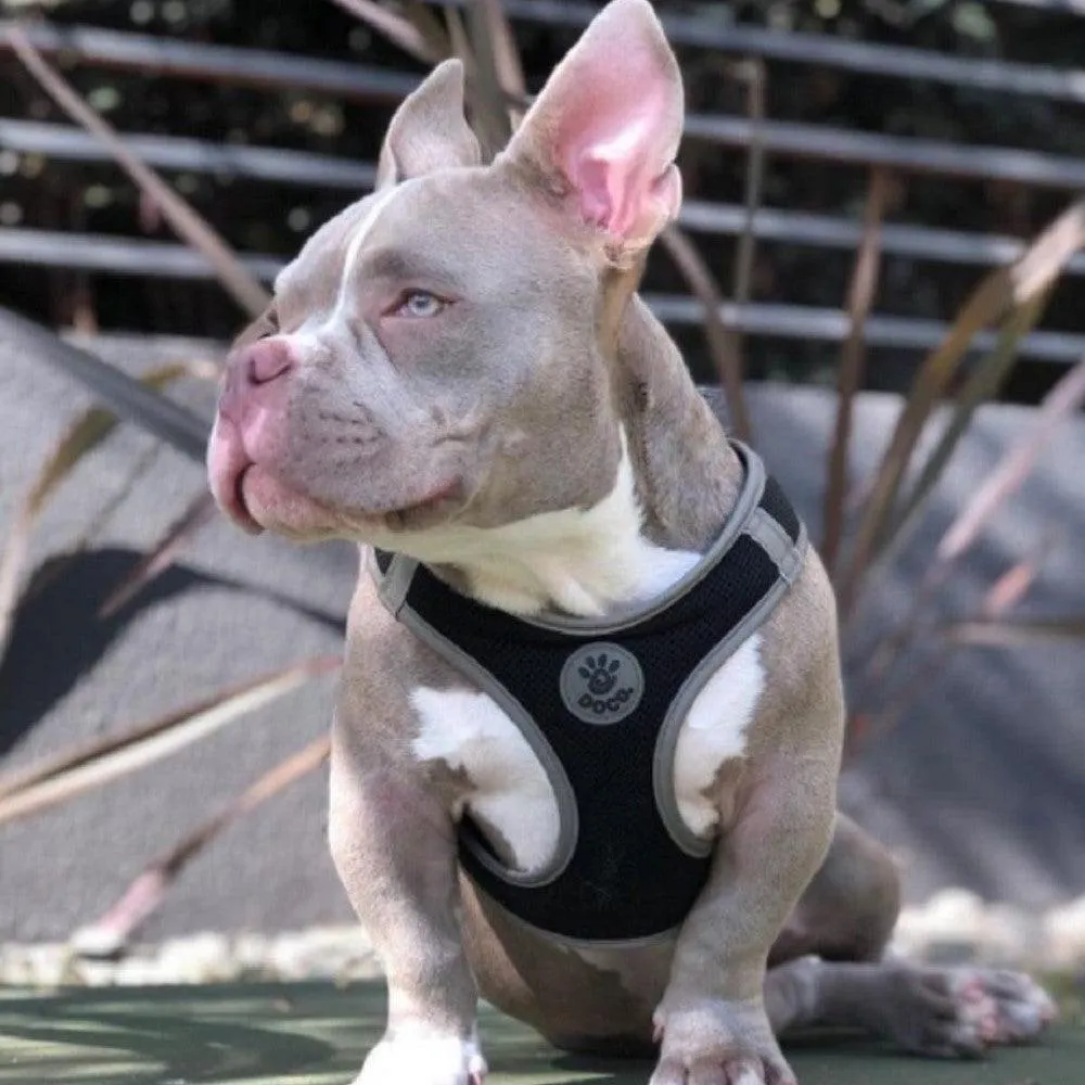 DOCO® Athletica QUICK FIT Dog Harness