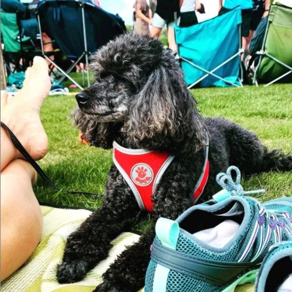 DOCO® Athletica QUICK FIT Dog Harness