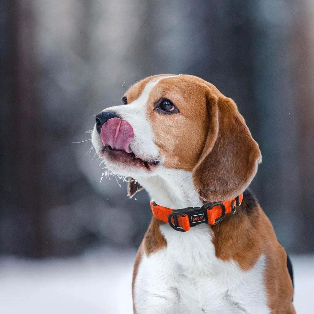DOCO® DD Nylon Dog Collar