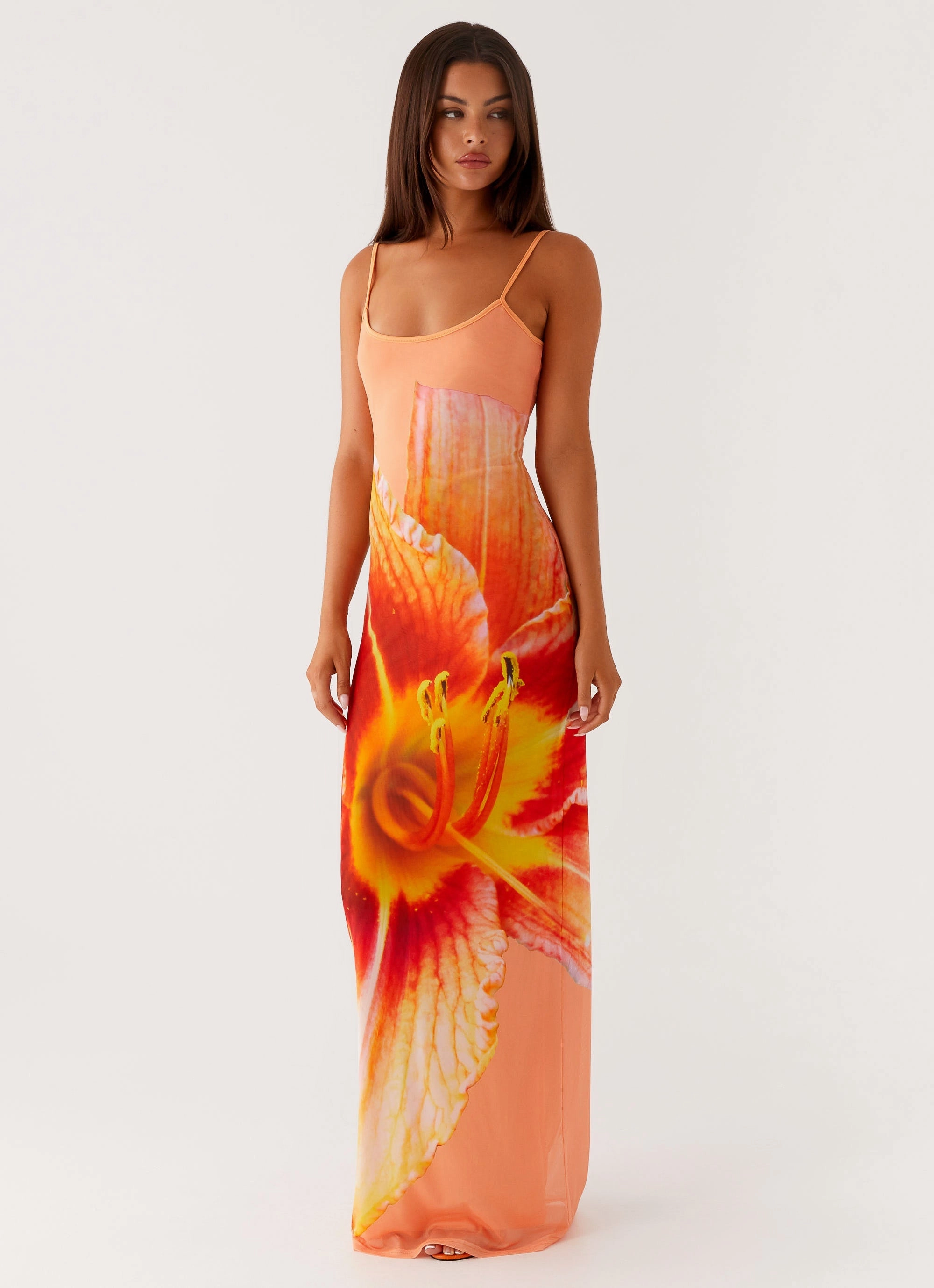 Tailored Elegance Bad News Mesh Maxi Dress - Orange Floral