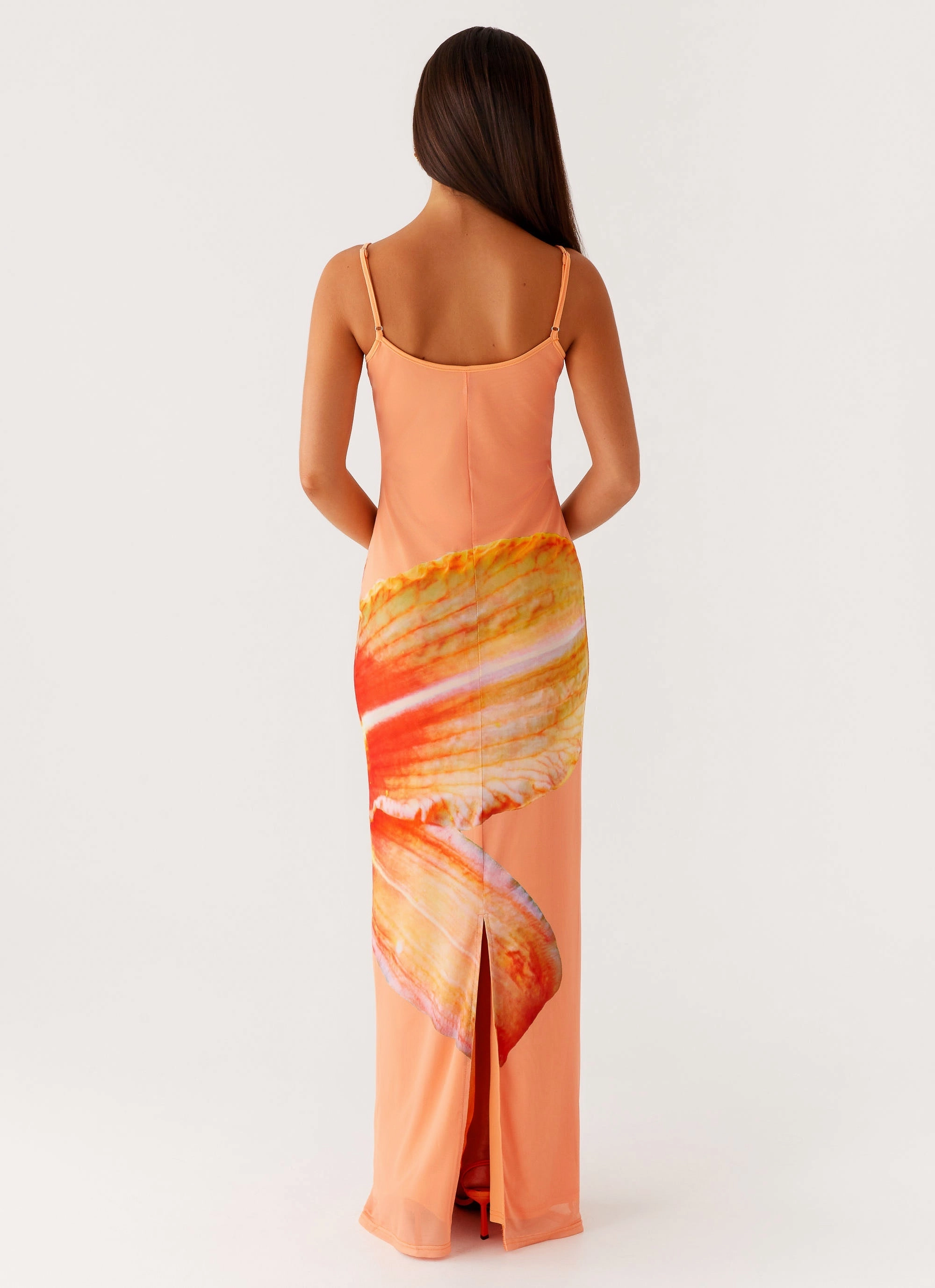 Light Weave Bad News Mesh Maxi Dress - Orange Floral
