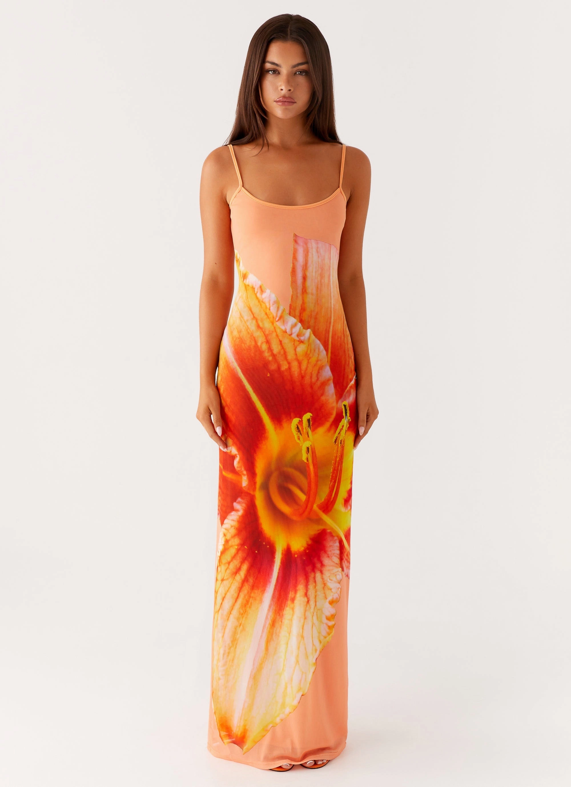 Curvy Glam Bad News Mesh Maxi Dress - Orange Floral