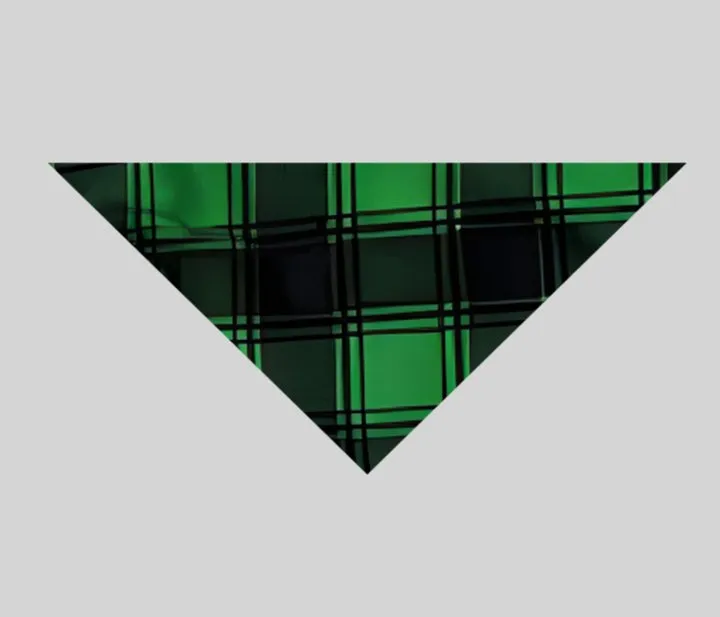 Family Christmas 2024 Text and Santa Hat Print Long Sleeve Top With Green & Black Plaid Christmas Matching Pajamas
