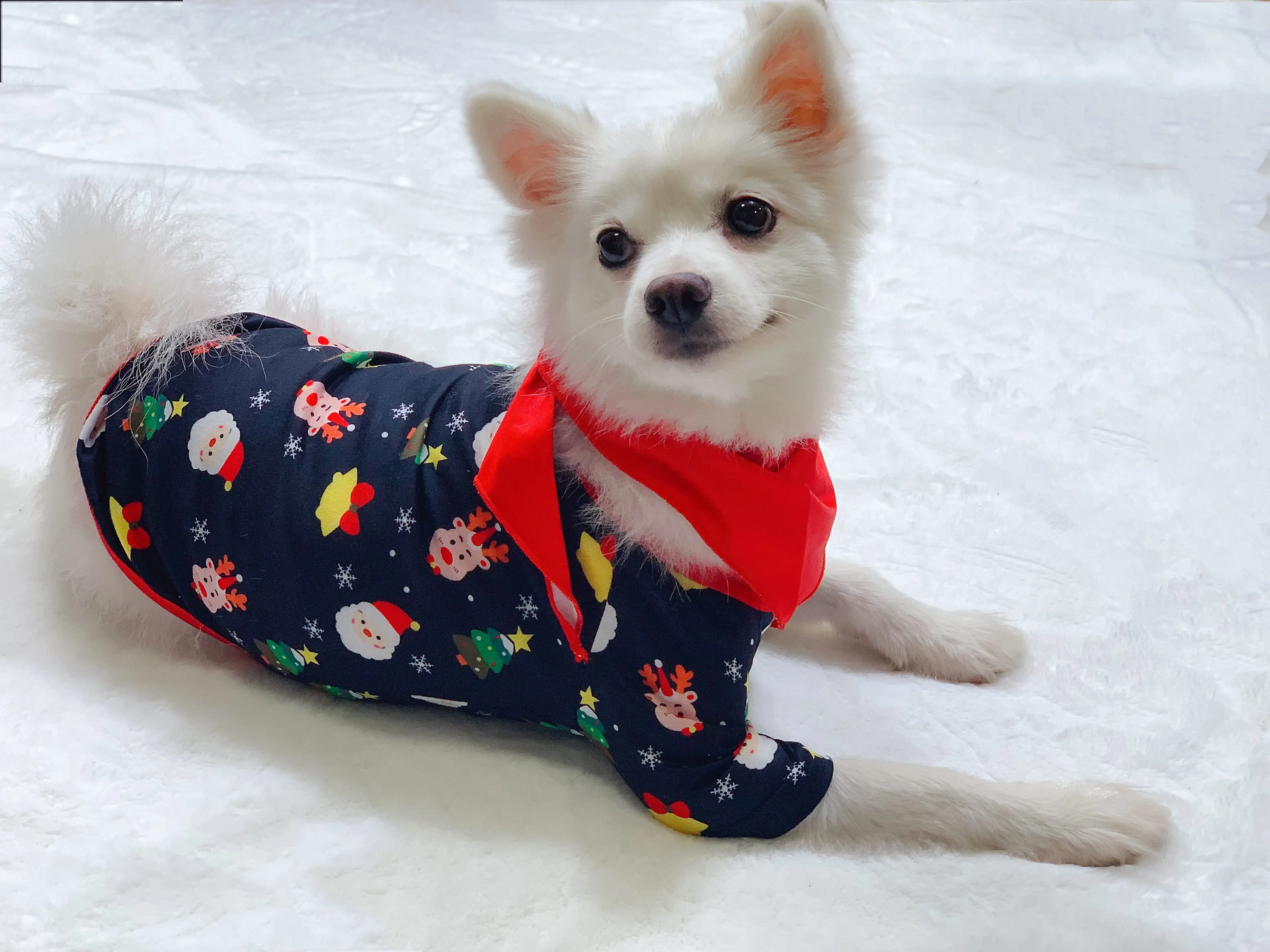 Family Christmas Pajamas Matching Sets