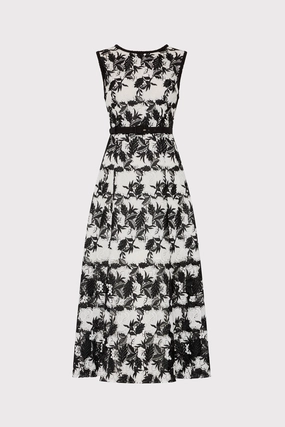 Elegant evening wear Paloma Two Tone Lace Midi Dress