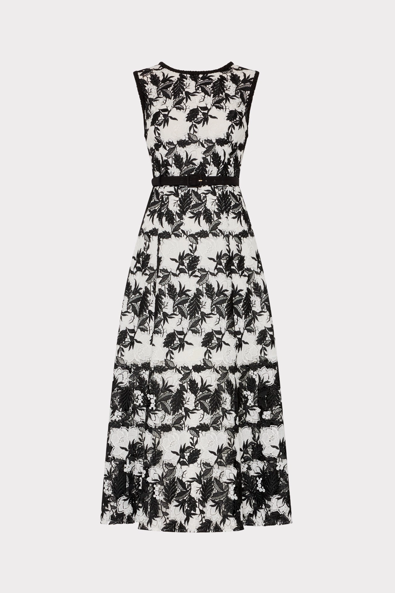 Elegant evening wear Paloma Two Tone Lace Midi Dress
