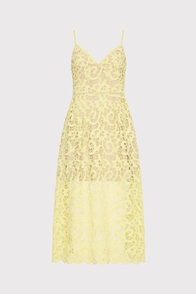 Modern Twist Chic Layered Wear Elle Lace Midi Dress