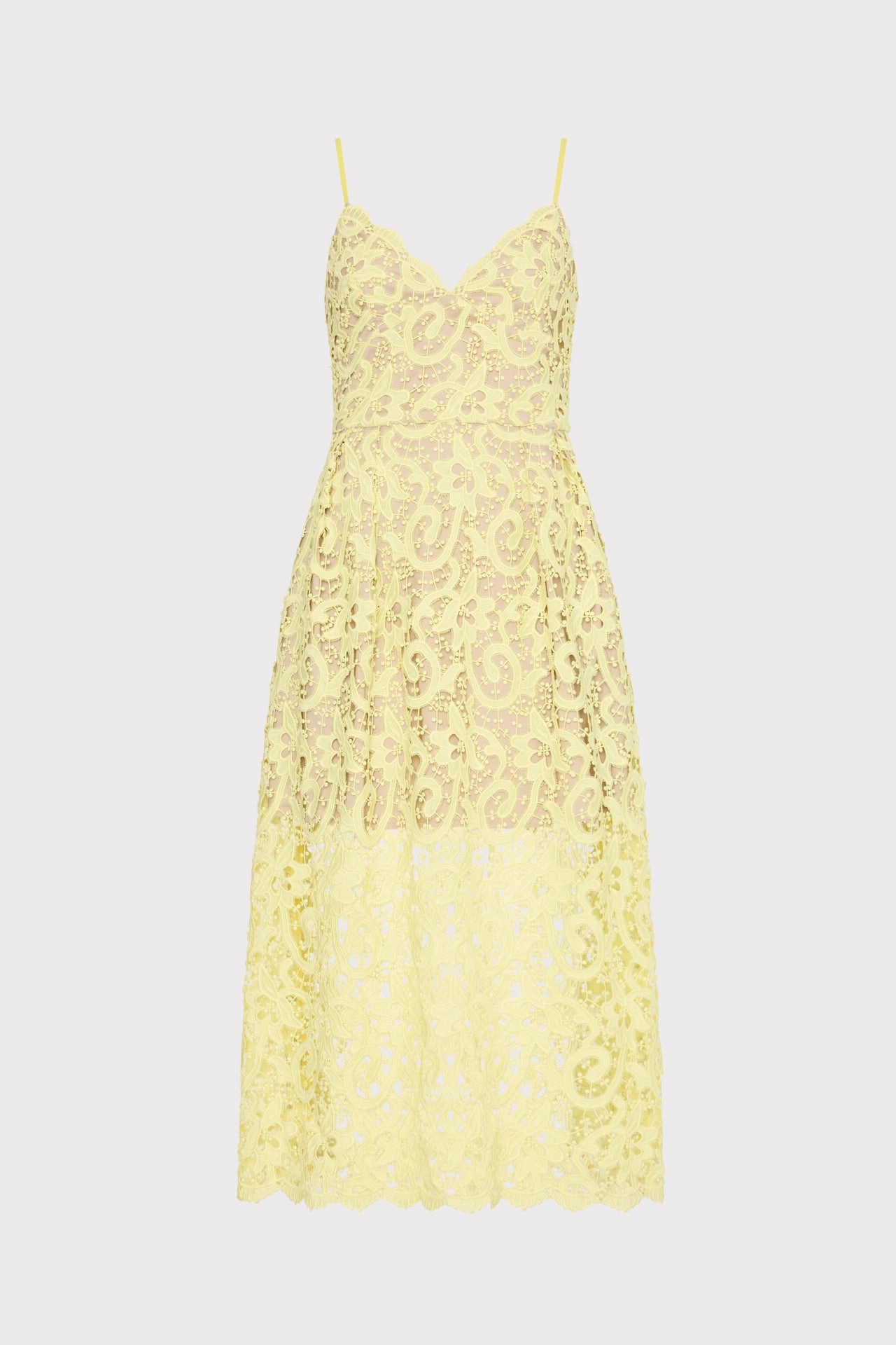 Metallic-Shine Bold Style Elle Lace Midi Dress