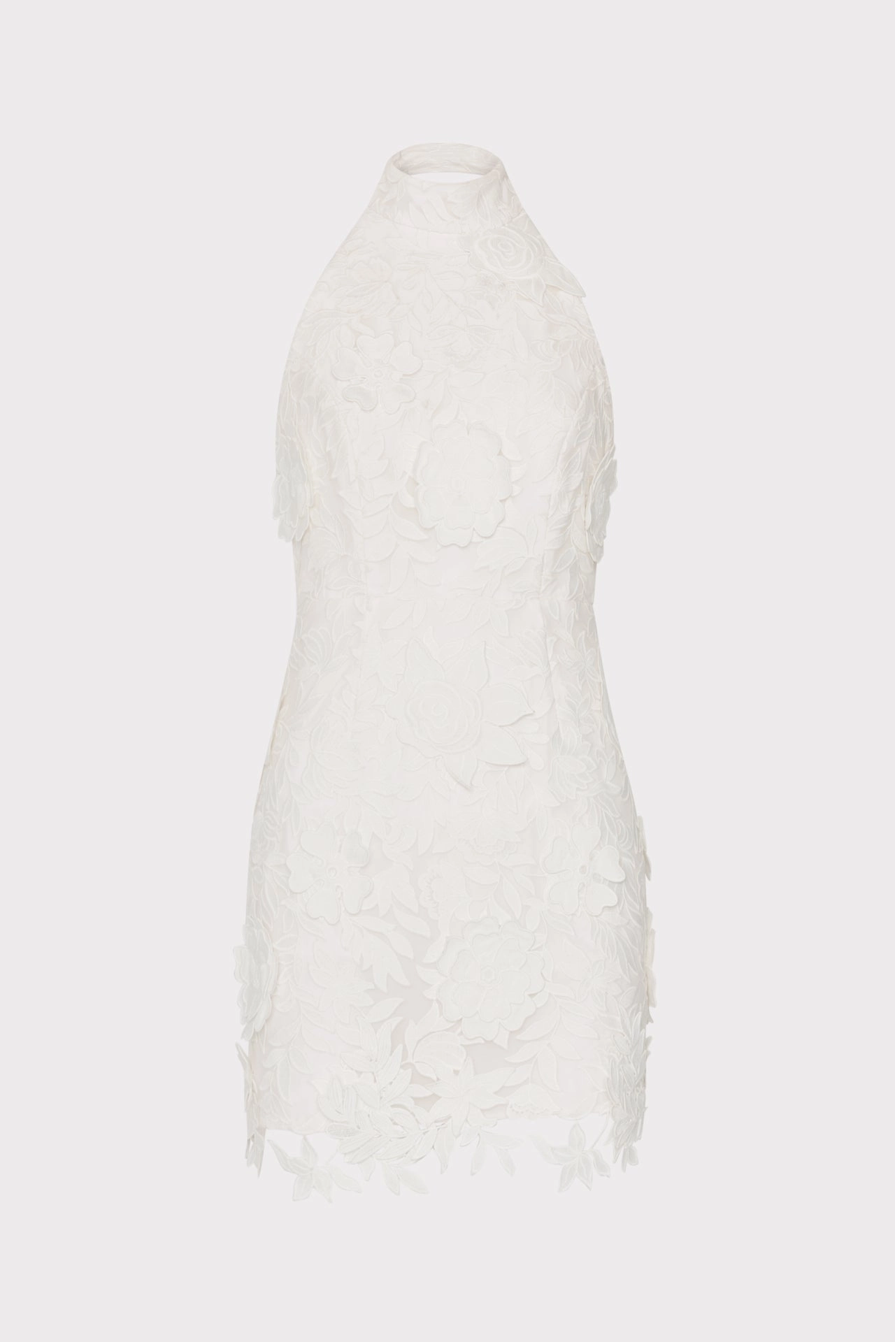 Olivia Rose Trellis Lace Mini Dress Easy Go Trendy Design