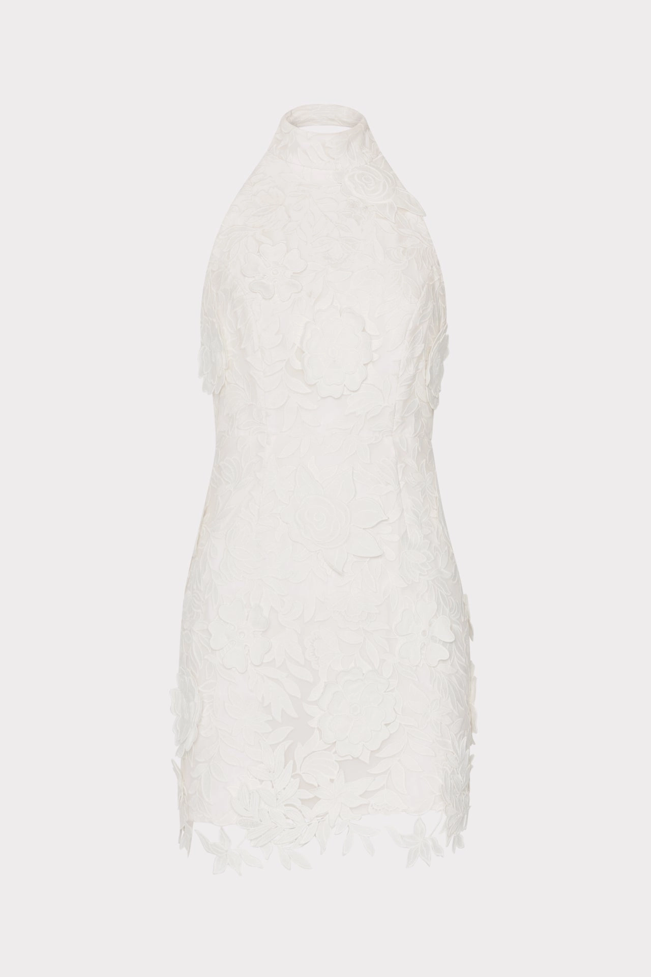 Olivia Rose Trellis Lace Mini Dress Natural Silhouette Urban Cool