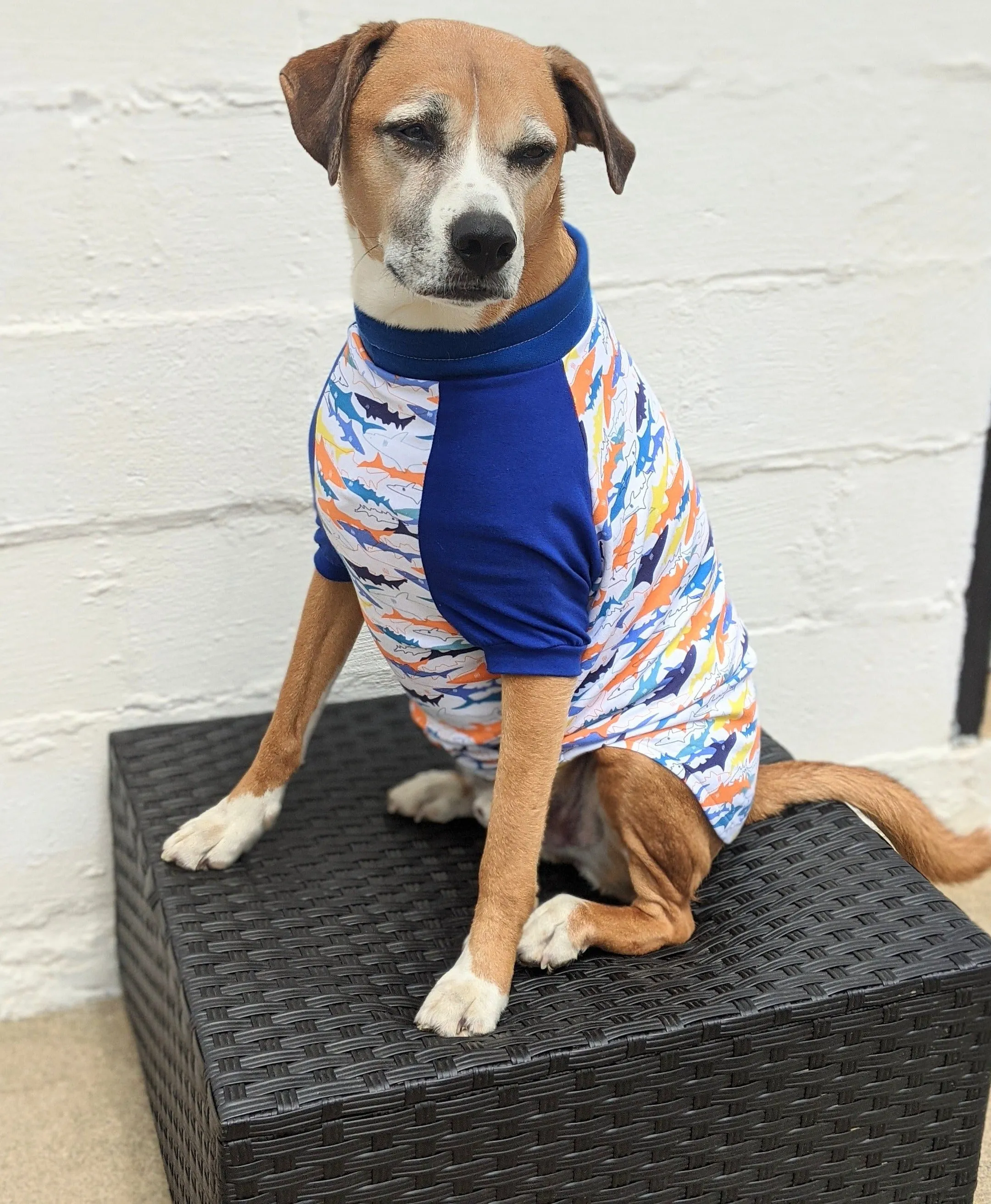 Funky Shark Raglan Dog Pajamas