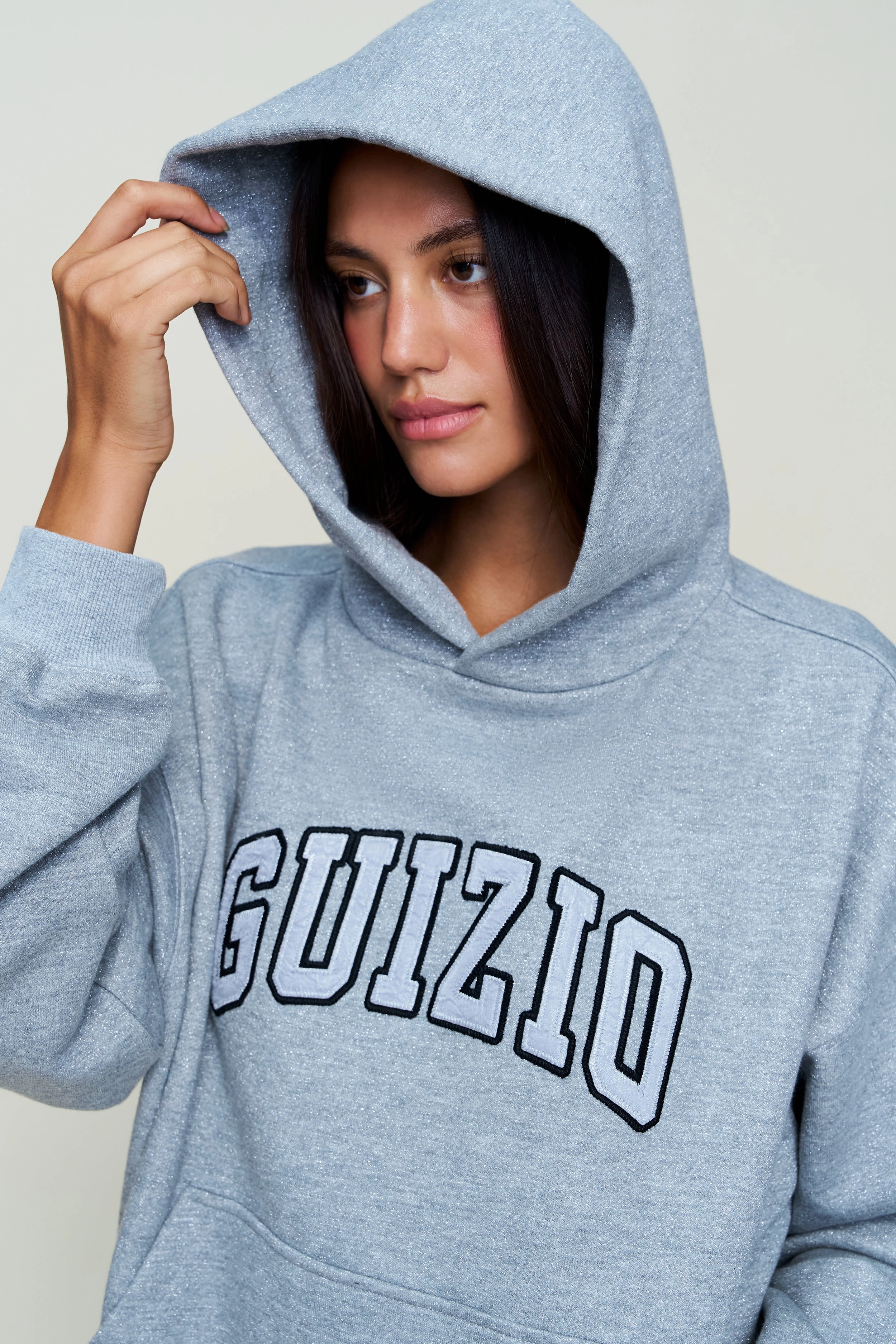 Guizio Sparkle Pullover Hoodie Wide Hem Detail AntiStatic Yarn