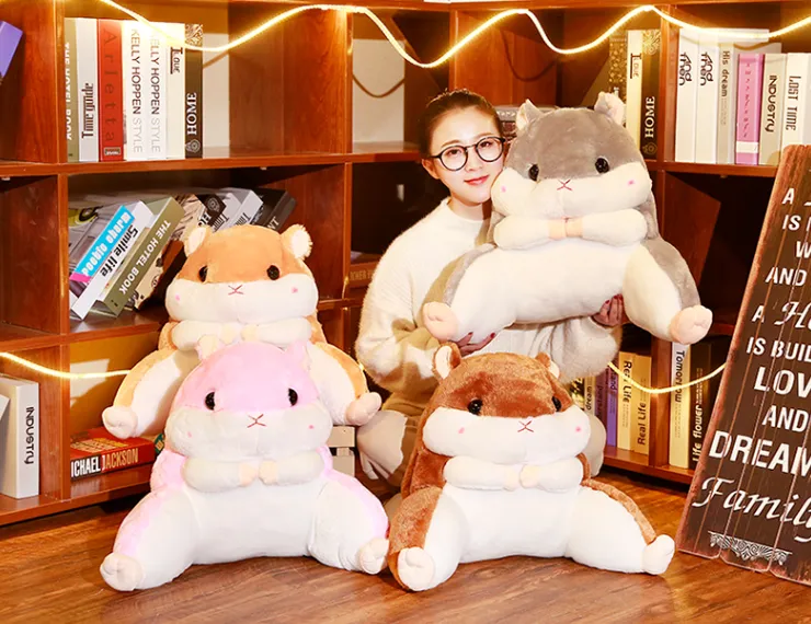 Hamster Throw Pillow   Blanket Set AD10501