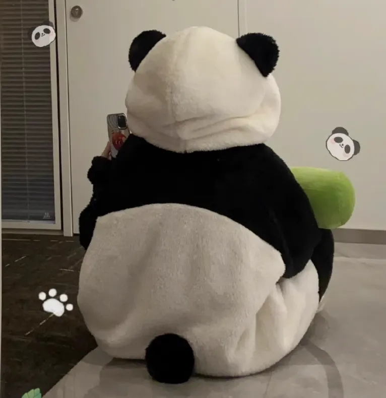 Kawaii Cartoon Panda Plush Hooded Pajamas Set