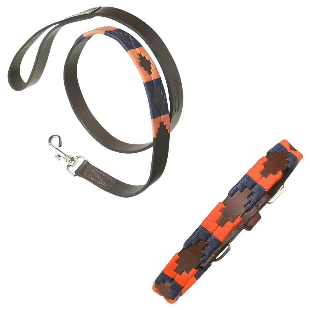 Leather Dog Collar & Lead - Audaz by Pampeano