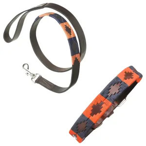 Leather Dog Collar & Lead - Audaz by Pampeano