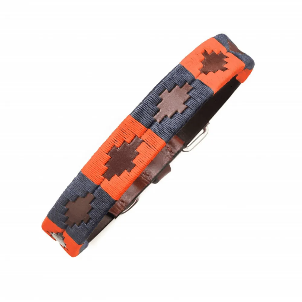 Leather Dog Collar & Lead - Audaz by Pampeano
