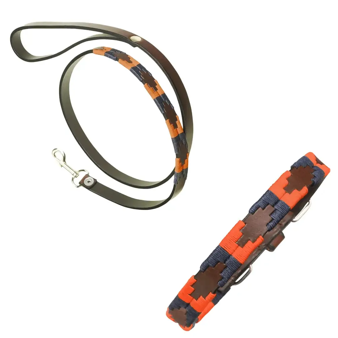 Leather Dog Collar & Lead - Audaz by Pampeano