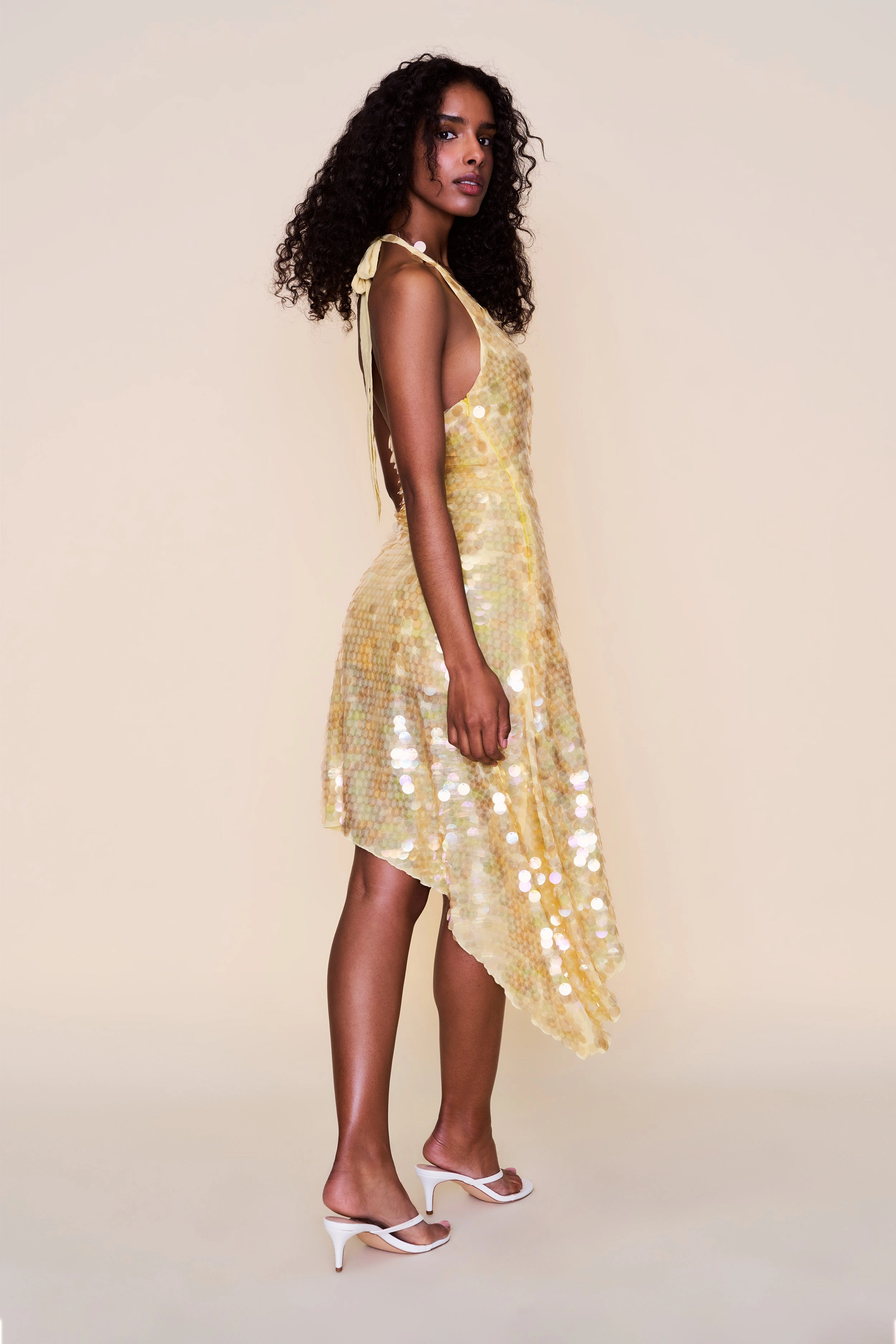 Vibrant Waist Fit Flowy summer gown Besora Sequin Dress