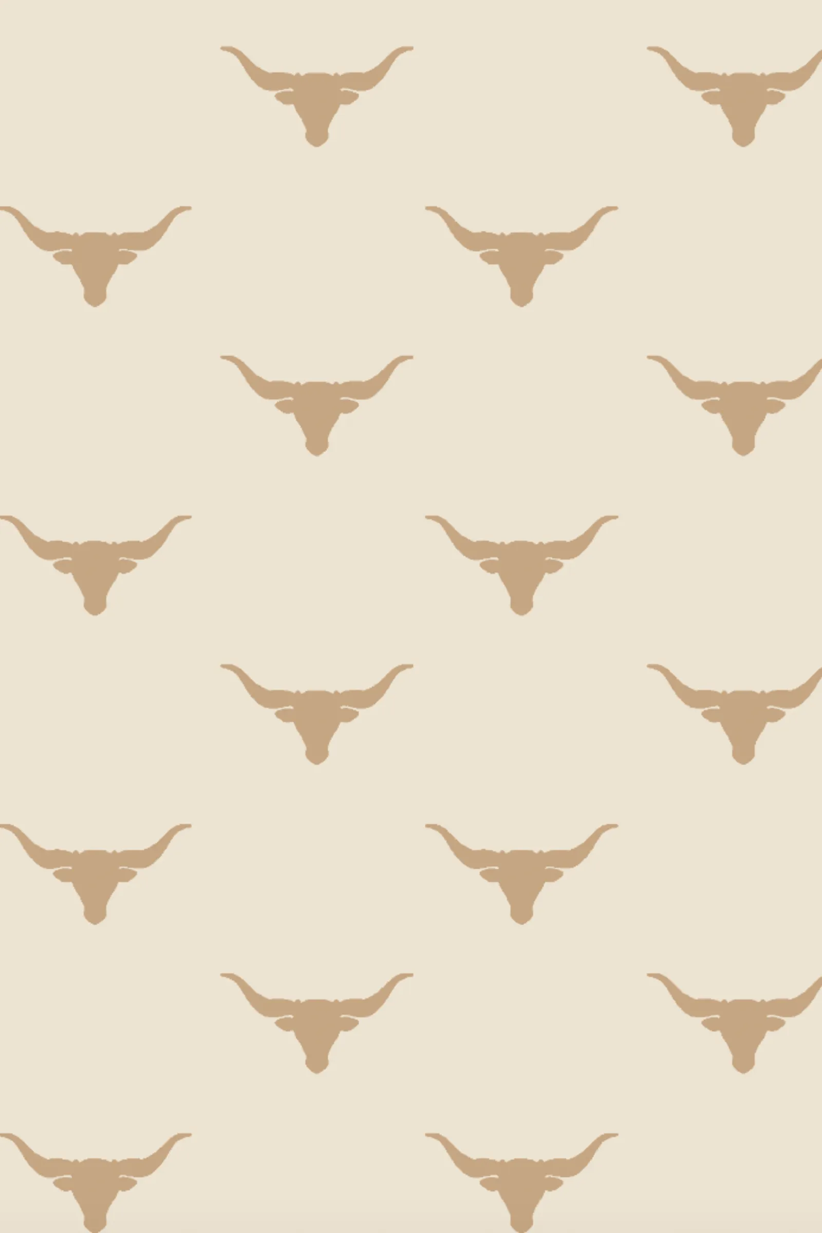 Long Sleeve PJ Set - Longhorn Print