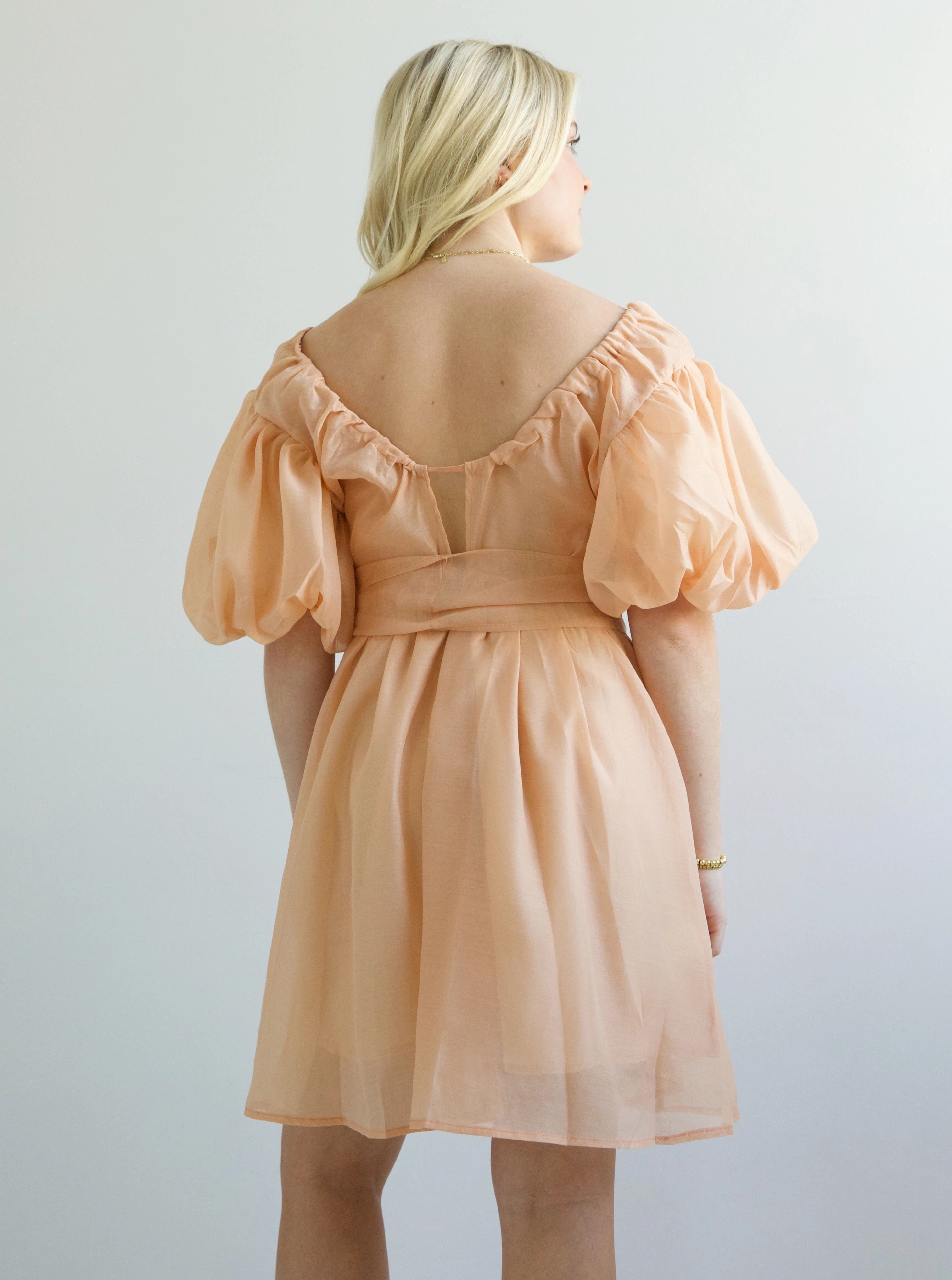 Luxe style Lori Puff Sleeve Dress