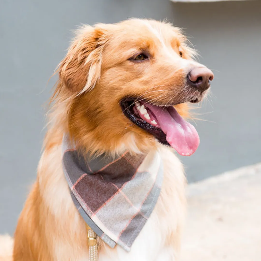 Magnolia Flannel Dog Bandana