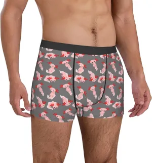 Mens Underwear Boxer Briefs - Cartoon Cute Axolotl Pink_C Breathable Men's Boxer Briefs with Flex Waistband