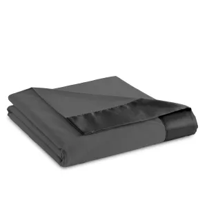Micro Flannel All Seasons Lightweight Sheet Blanket by Shavel Home Products