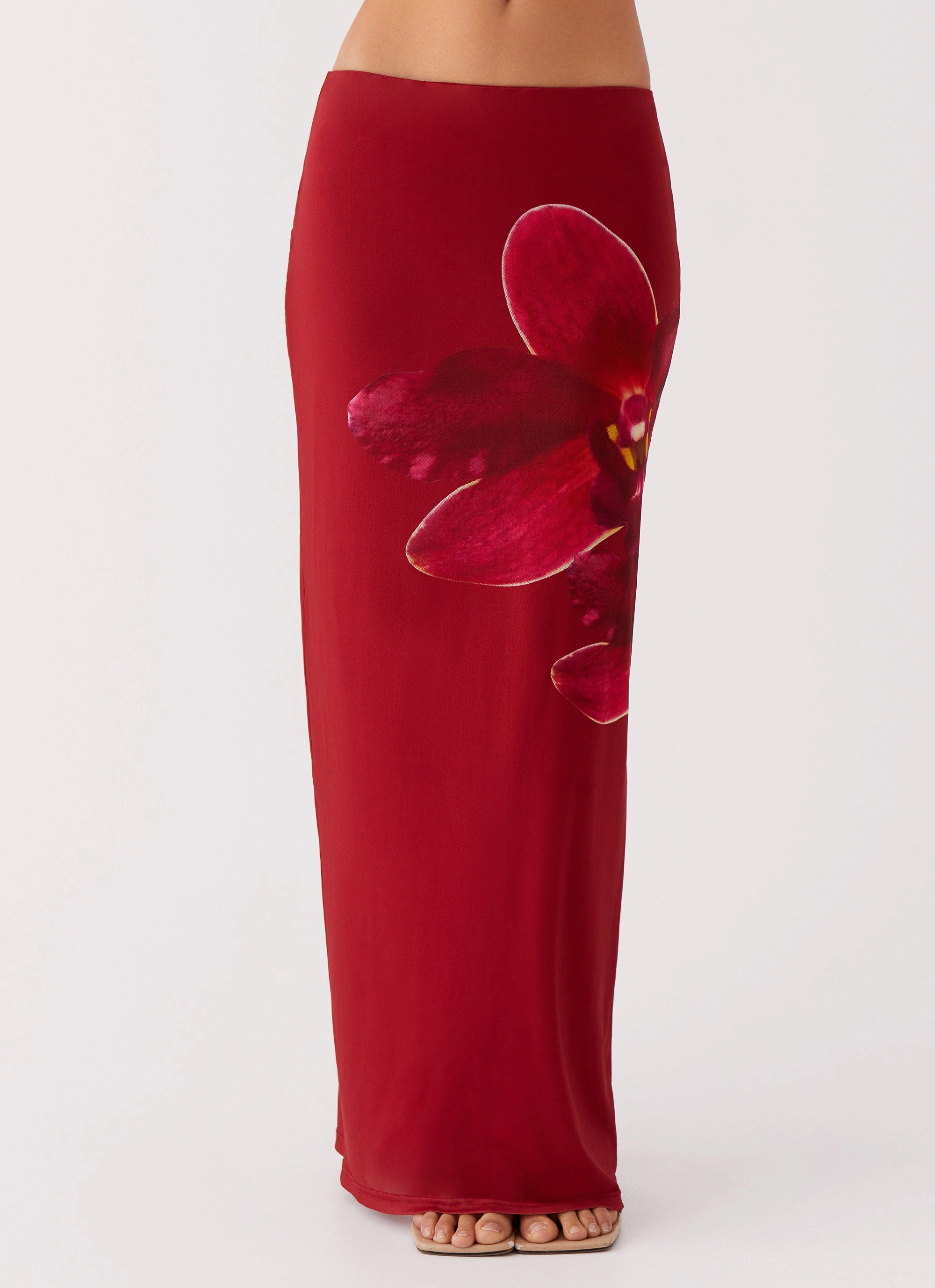 Waiting For Dawn Mesh Maxi Skirt - Rosa Stylish Choice
