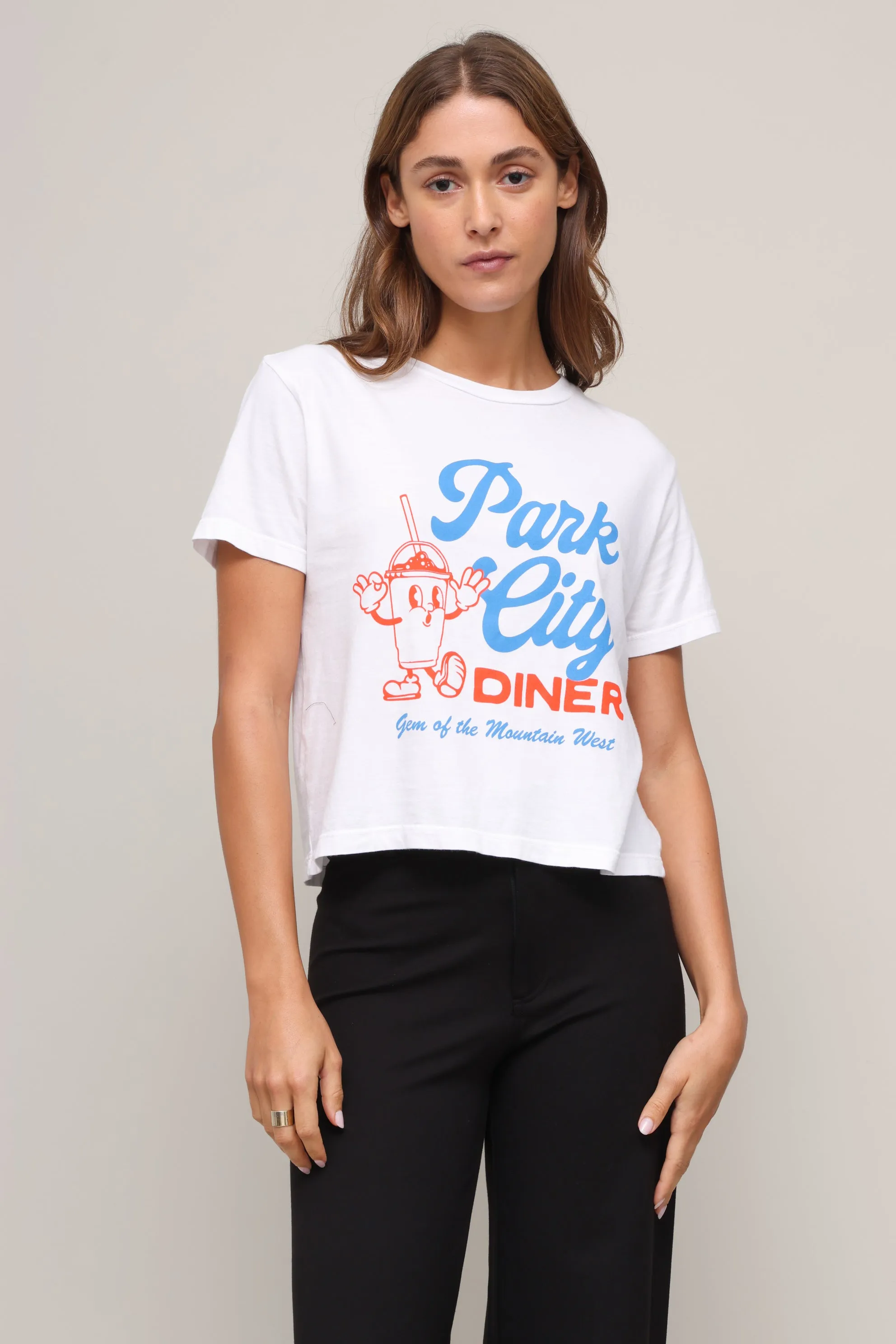 Double Layered Hood Assembly Light Deflection Fabric Park City Diner Everyday Tee