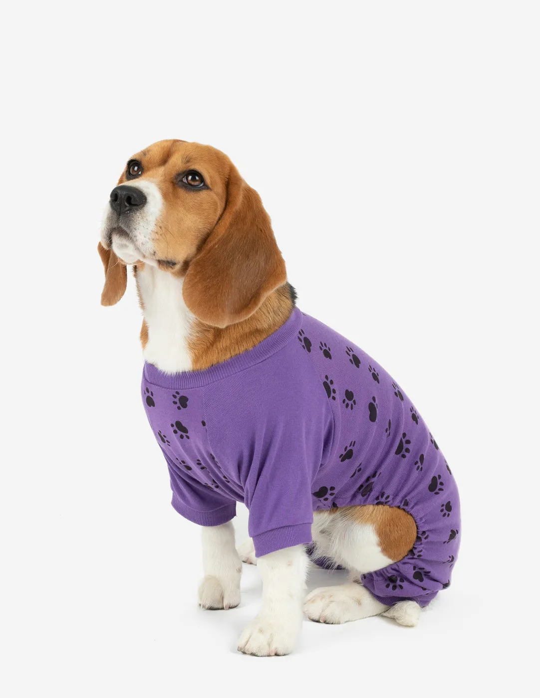 Pets Matching Family Pajama Set