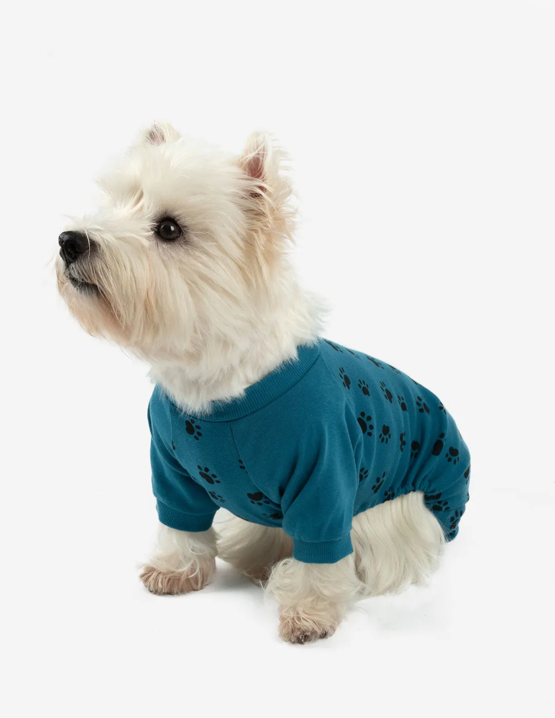 Pets Matching Family Pajama Set