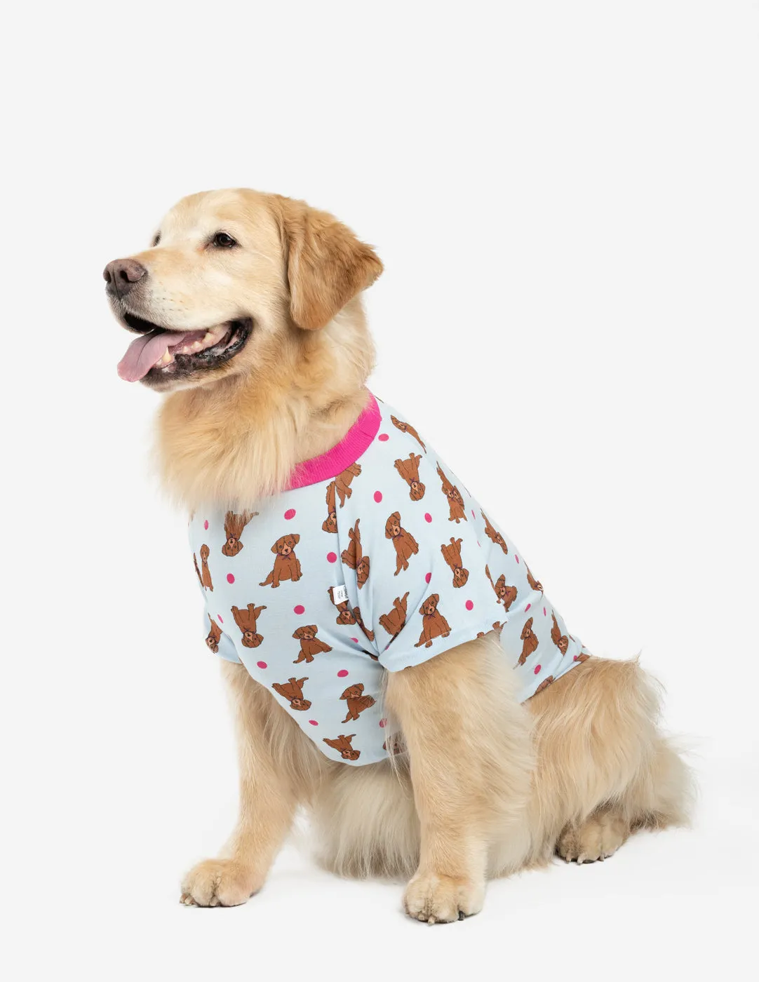 Pets Matching Family Pajama Set