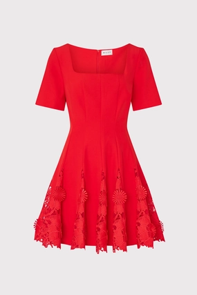 Joy Lace Combo Mini Godet Dress Polite Vibe Modern Layers